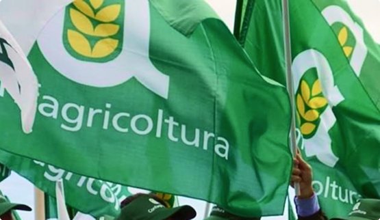 Comunicato stampa – GASOLIO AGRICOLO